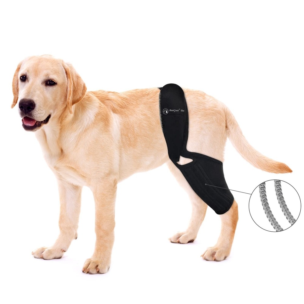BaoGuai Dog Knee Brace Hind Leg Support‎ Neoprene Stabilizer XS-XXXL Black